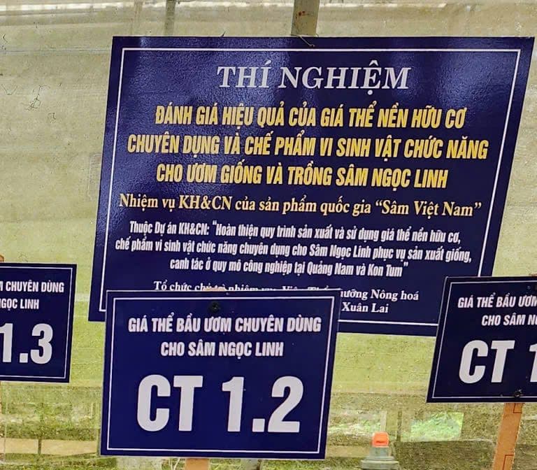 Biển thí nghiệm: đánh giá hiệu quả của giá thể nền hữu cơ chuyên dụng và chế phẩm vi sinh vật chức năng cho ươm giống và trồng sâm Ngọc Linh