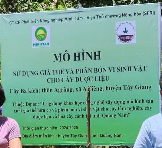 Biển mô hình: cây ba kích, thôn Agrồng, xã A Tiêng, huyện Tây Giang; thời gian thực hiện 2024–2025