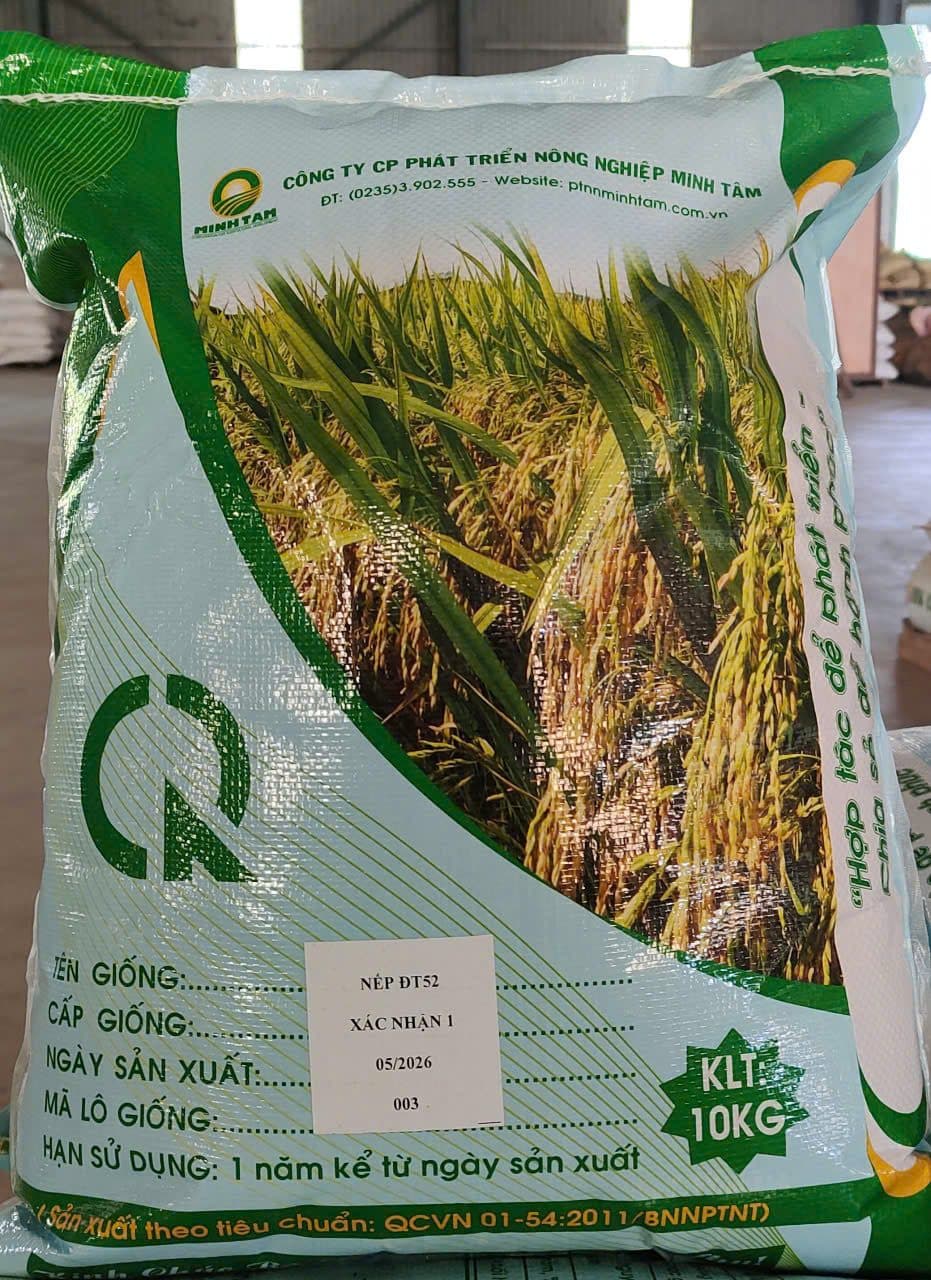 Bao hạt giống Nếp ĐT52, 10 kg – mặt trước