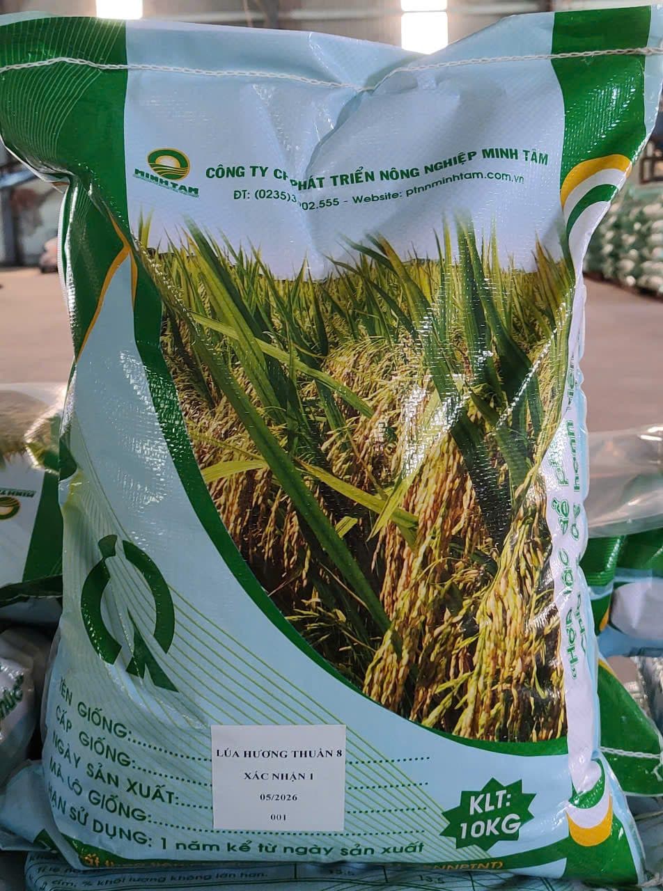 Bao hạt giống Lúa Hương Thuần 8, 10 kg – mặt trước
